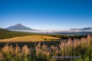 ススキの原から望む富士山と山中湖