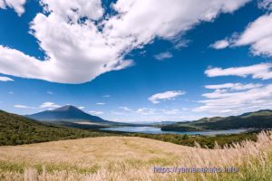 ススキの原から富士山と山中湖