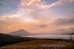 パノラマ台上より今朝の富士山