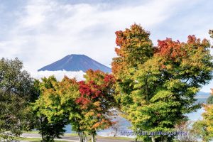 きららの紅葉の様子