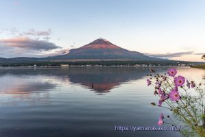 まだら模様の富士山