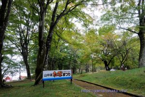 夕焼けの渚紅葉まつり会場の様子