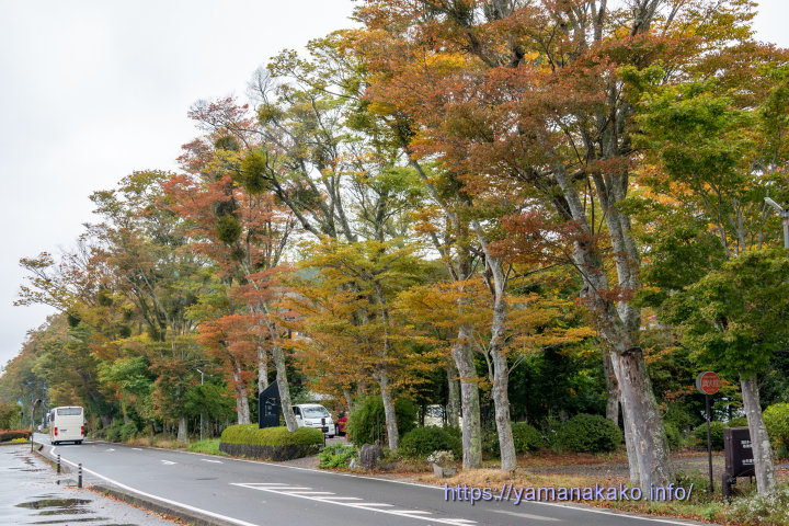 長池親水公園付近の様子