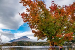 湖畔の紅葉と富士山