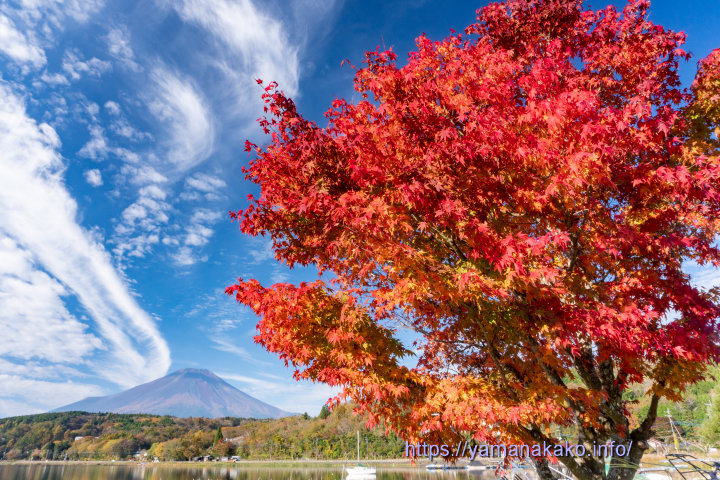 平野湖畔の紅葉