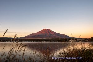 陰影くっきりの朝の富士山