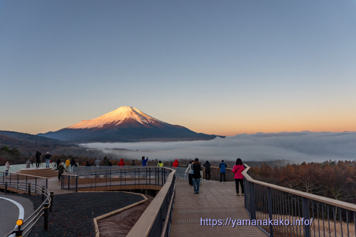 パノラマ台展望デッキより望む富士山