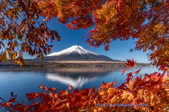 お気に入りの場所の紅葉と富士山