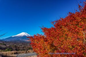 パノラマ台から紅葉と富士山