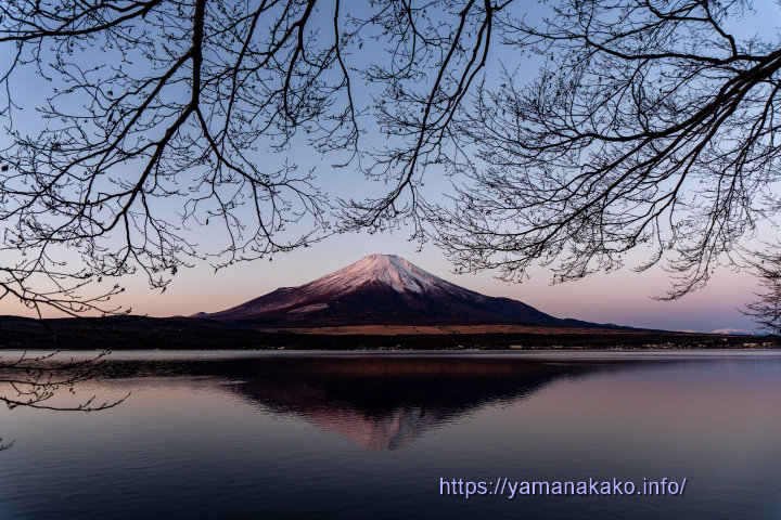 あまり紅くならなかった朝の富士山