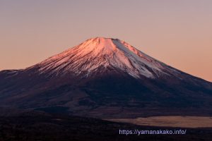 パノラマ台から見た富士山