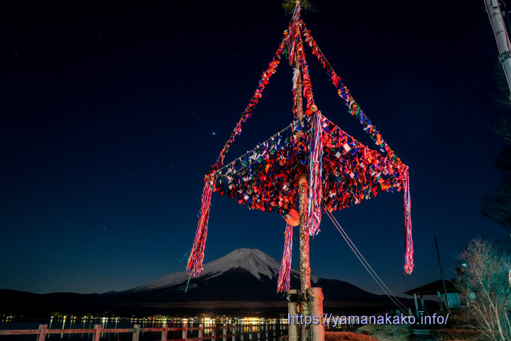 月夜の富士山と御神木