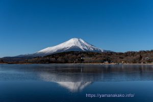 薄氷が張っている平野ワンド