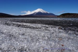 漂着した氷と富士山