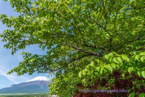 富士山頂は雪が降った