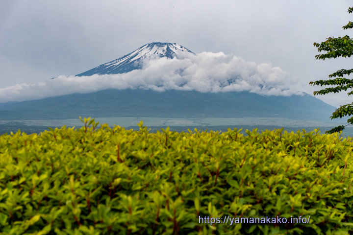 ちら見え富士山