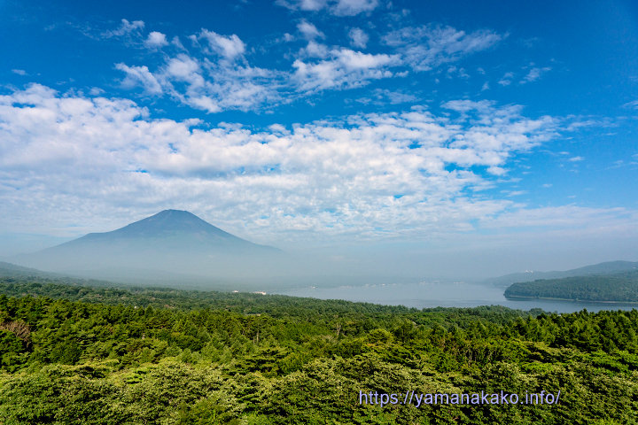 パノラマ台から望む富士山