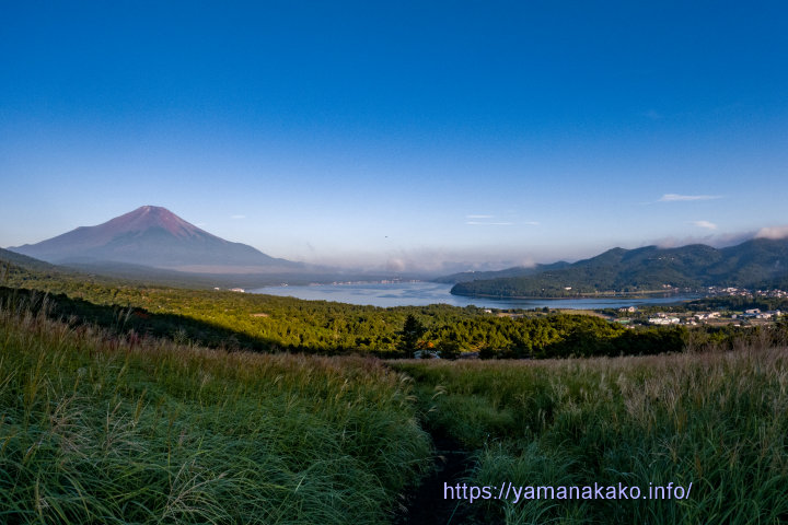 富士山と山中湖