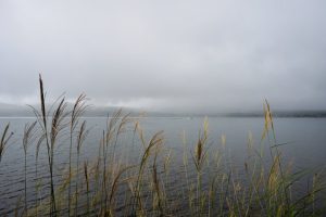雨に煙る山中湖