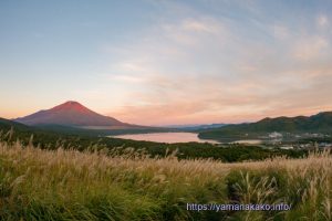 ススキ越しに富士山と山中湖