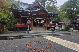 諏訪神社にある落ち葉のハートマーク
