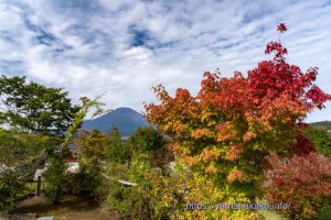 紅葉と富士山
