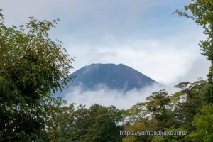 木々の間から見えた富士山頂