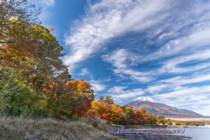 旭日丘湖畔緑地公園の紅葉の様子