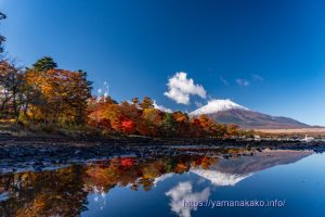 旭日丘湖畔緑地公園の湖畔から望む紅葉と富士山