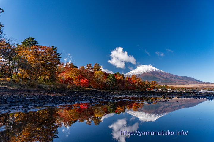 旭日丘湖畔緑地公園の湖畔から望む紅葉と富士山