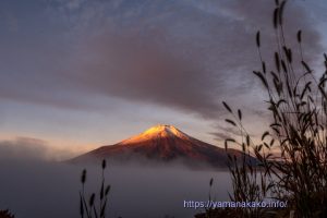 雲海に浮かぶ富士山