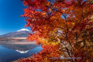 逆さ富士と紅葉