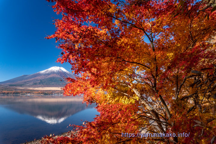 逆さ富士と紅葉