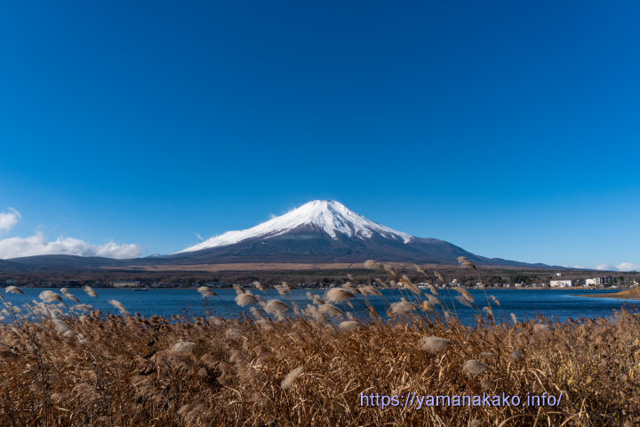 すっきり見えた富士山