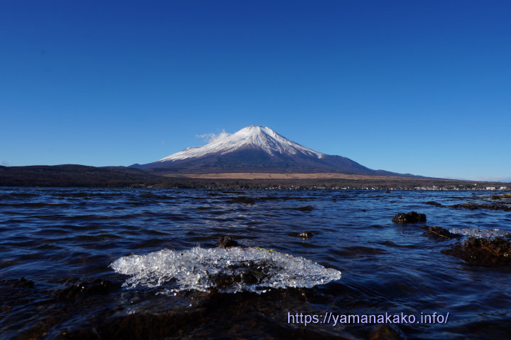 山中湖畔の氷