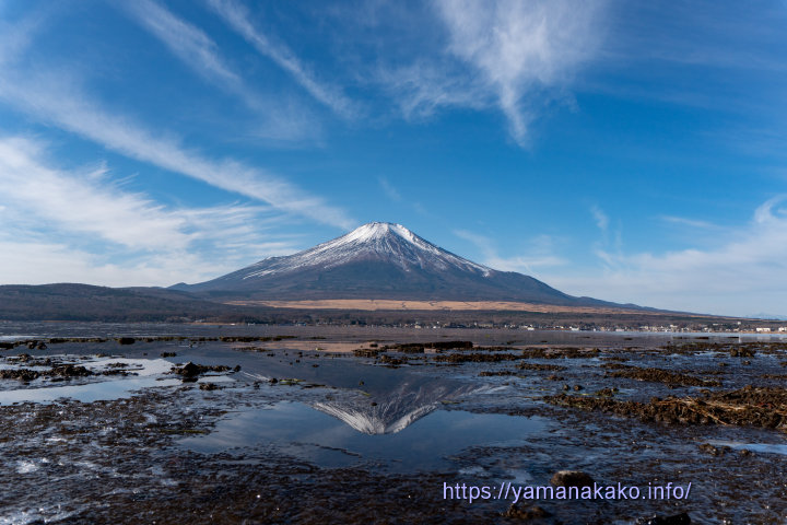 湖畔の氷と逆さ富士