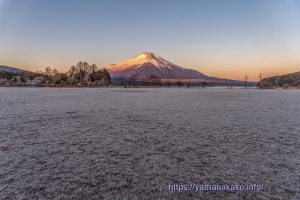 白くなった芝生広場から望む富士山