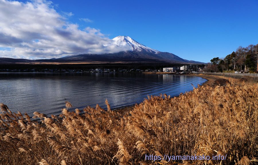 9時頃の富士山
