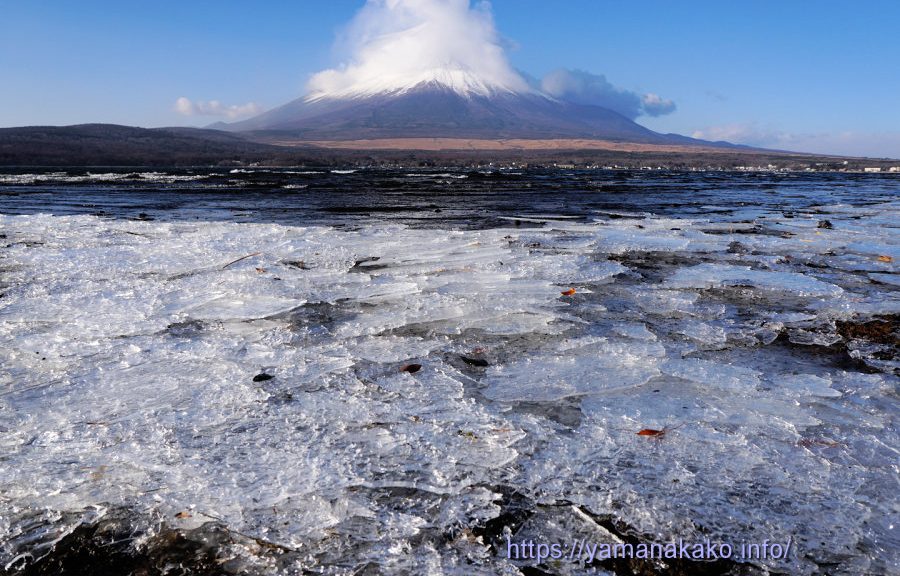 岸に打ち寄せられた氷