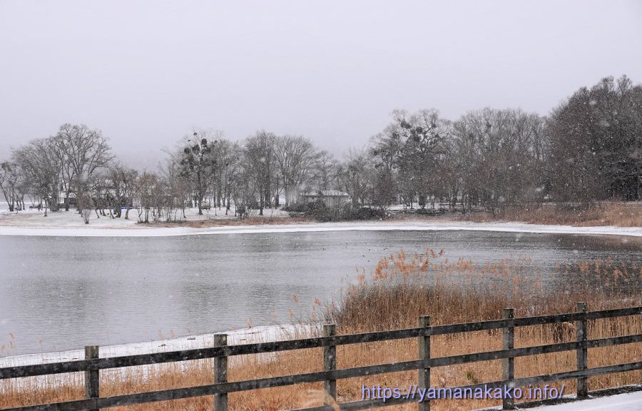 雪が降って白くなっている山中湖畔