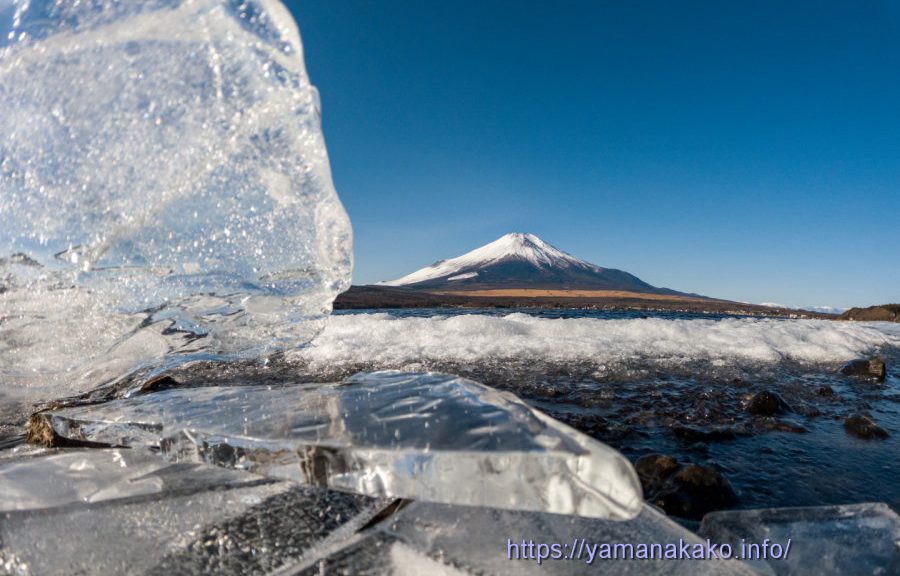 湖畔に打ち上げられた氷の横から富士を望む