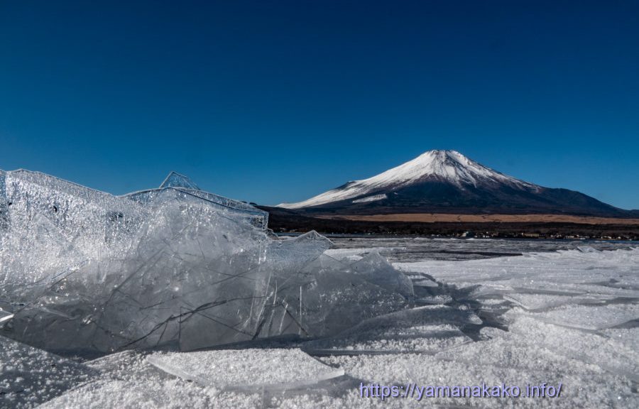 湖畔の氷の横から富士を望む