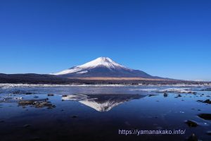 立春の朝の逆さ富士