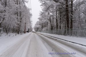 雪が降って真白になった湖畔周回道路