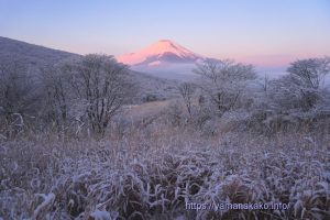 雪景色の向こうに富士山