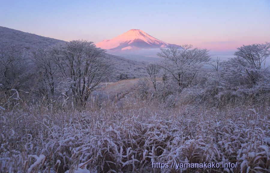 雪景色の向こうに富士山