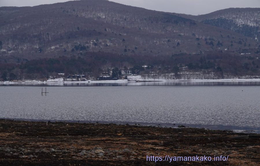 雪で白くなっている山中湖畔