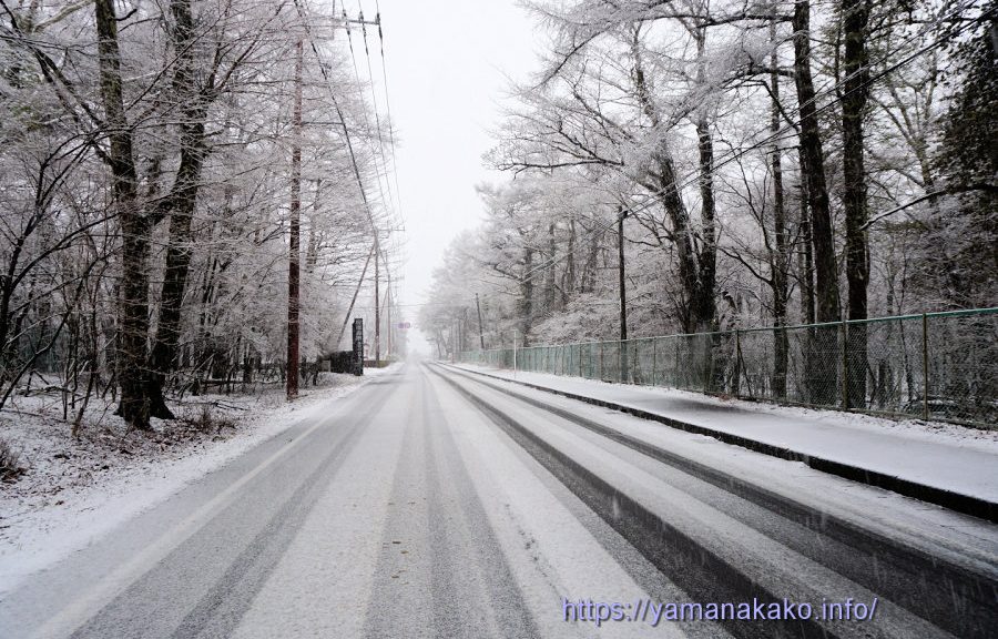 雪で道路も真っ白