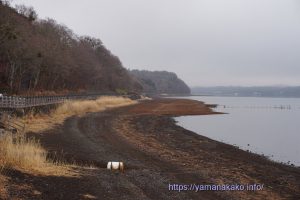 山中湖未だ減水中