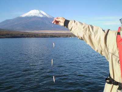 富士山バックに釣れたわかさぎ